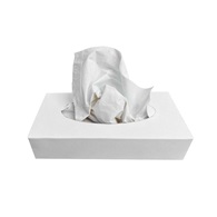 <p>Kosmetické ubrousky 2-vrstvé, bílé natural, 100 ks.</p>
<p> </p>