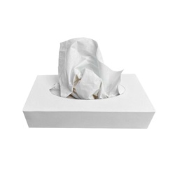 <p>Kosmetické ubrousky 2-vrstvé, bílé natural, 100 ks.</p>
<p> </p>