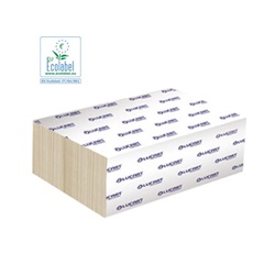 Papírové ručníky V, 2-vr., EcoNatural Lucart 3800 ks (21 x 25,3 cm)